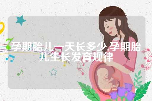 孕期胎儿一天长多少,孕期胎儿生长发育规律