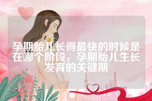 孕期胎儿长得最快的时候是在哪个阶段，孕期胎儿生长发育的关键期