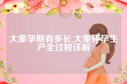 大象孕期有多长,大象怀孕生产全过程详解