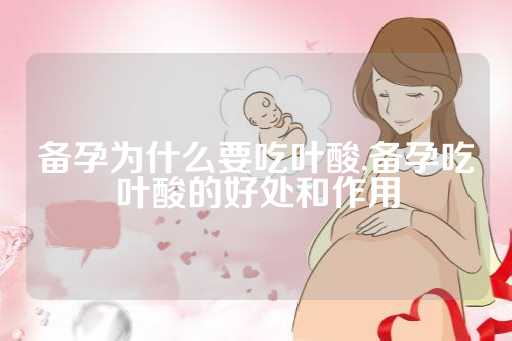 备孕为什么要吃叶酸,备孕吃叶酸的好处和作用
